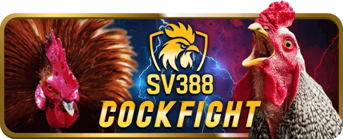Giao diện thân thiện i9bet121 nhà cái